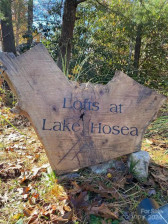 0 Lake Hosea Dr Saluda, NC 28773