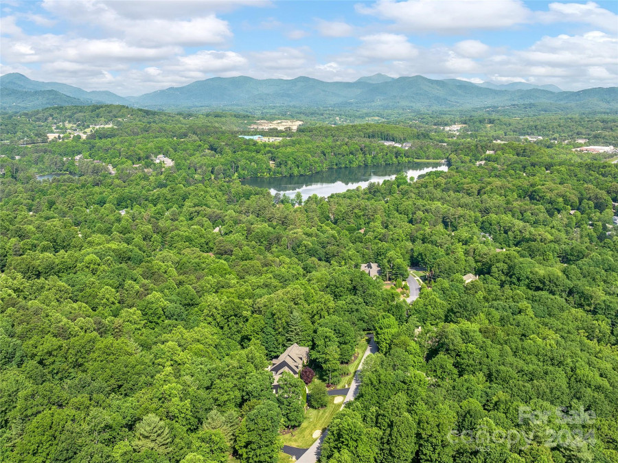 664 Wickhams Fancy Dr Biltmore Lake, NC 28715