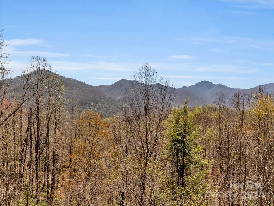 149 Trout Lily Ln Maggie Valley, NC 28751