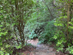 456 Crystal Creek Dr Pisgah Forest, NC 28768