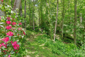 375 Dahlia Ln Waynesville, NC 28785