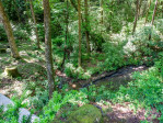 65 Twisted Tree Ln Brevard, NC 28712