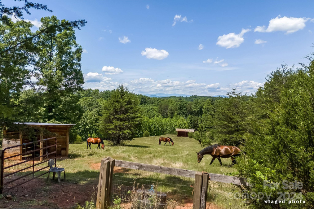 239 Larsen Ln Tryon, NC 28782