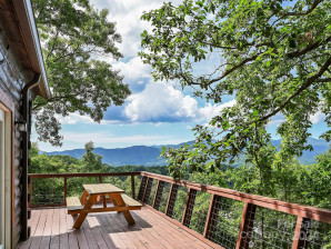 252 Holland Dr Black Mountain, NC 28711