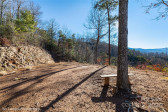 0000 Sourwood Rd Canton, NC 28716