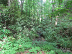 114 Little Bear Trl Cullowhee, NC 28723