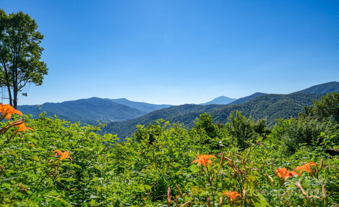 571 Paradise Mountain Rd Canton, NC 28716