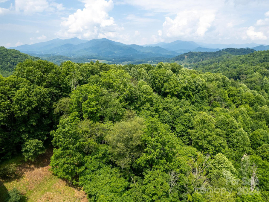 246 Calhoun Ridge Dr Waynesville, NC 28786