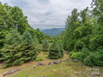 44 Black Bear Ln Whittier, NC 28789