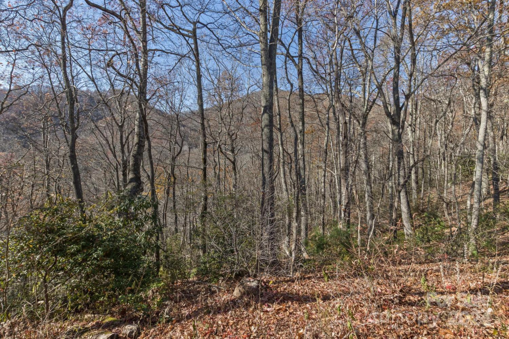 1818 Roaring Fork Rd Hot Springs, NC 28743