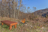 1818 Roaring Fork Rd Hot Springs, NC 28743