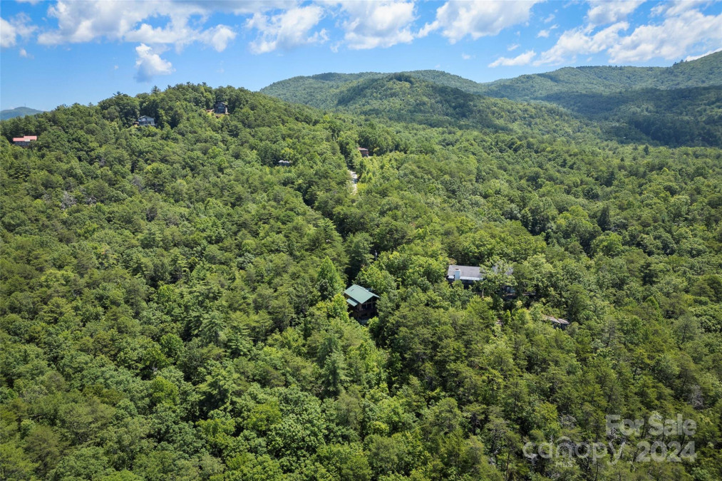 44 Split Rock Rd Brevard, NC 28712