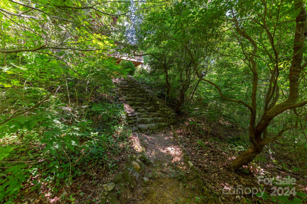 224 Virginia Rd Montreat, NC 28757