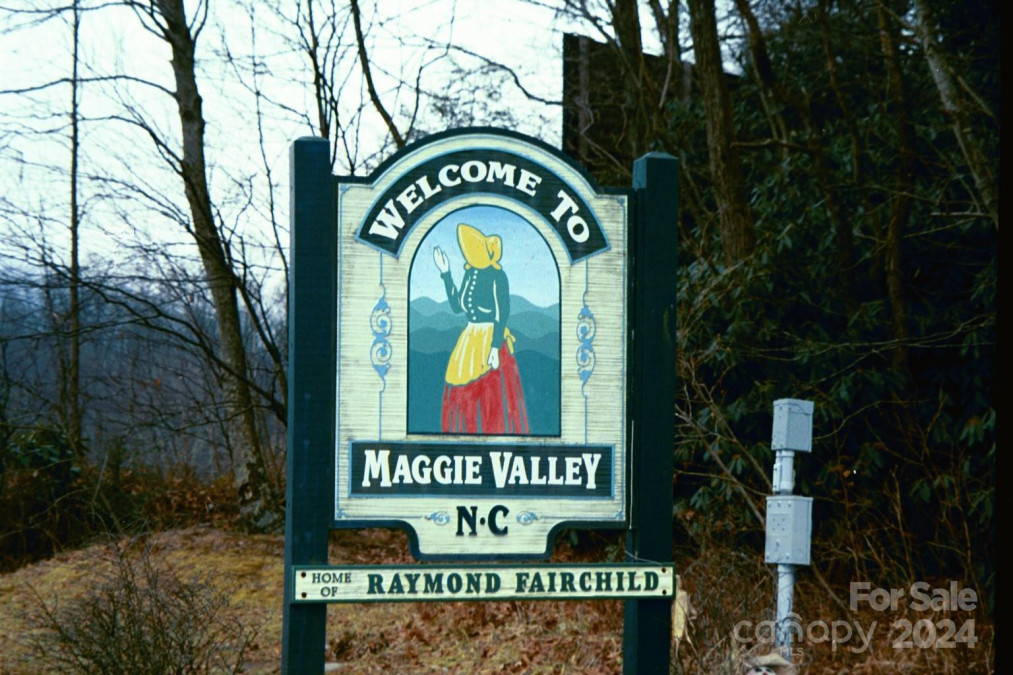 860 Pless Underwood Rd Maggie Valley, NC 28751