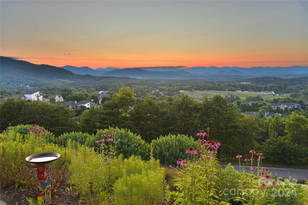 84 Climbing Aster Way Asheville, NC 28806