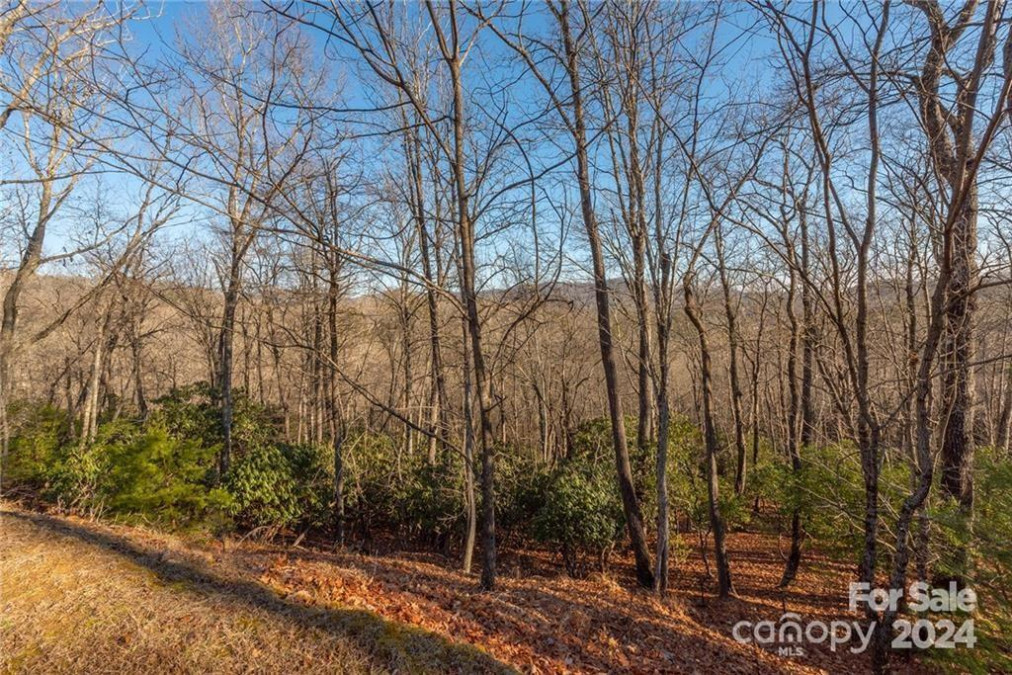 80 Buckhead Trl Horse Shoe, NC 28742