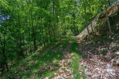 0 Mills River Way Horse Shoe, NC 28742