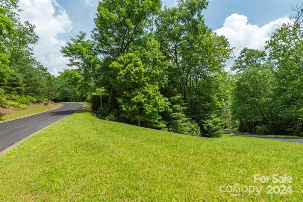 99999 Caddis Ln Horse Shoe, NC 28742