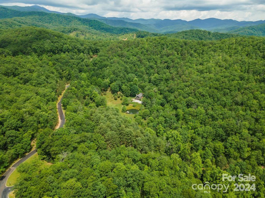 99999 Caddis Ln Horse Shoe, NC 28742