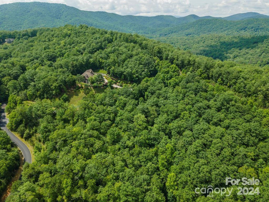 99999 Blue Mountain Way Horse Shoe, NC 28742