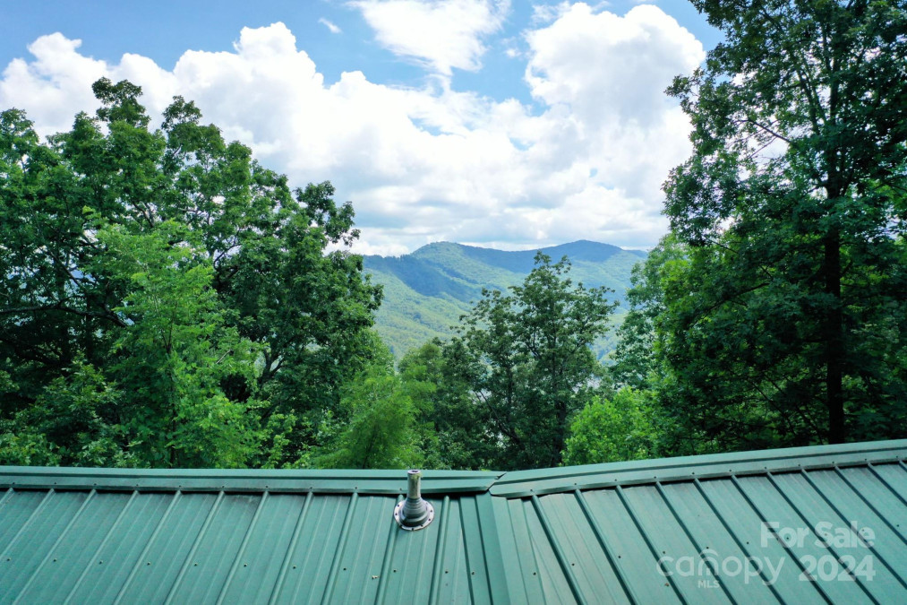 470 Bear Ridge Rd Tuckasegee, NC 28783