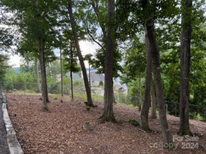 111 Holly Cove Trl Mount Gilead, NC 27306