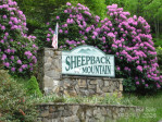 1330 Sheepback Mountain Rd Maggie Valley, NC 28751