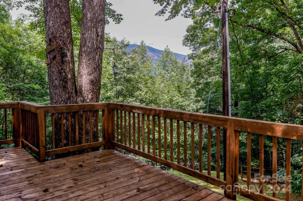 297 Chimney Cliffs Dr Lake Lure, NC 28746