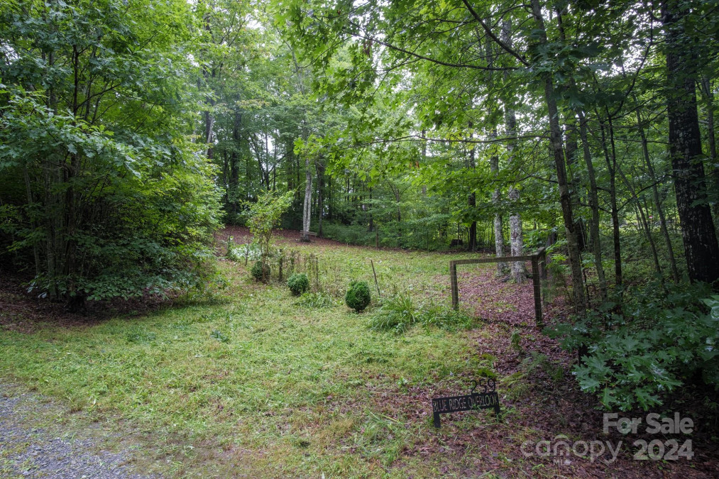 259 Blue Ridge Overlook Dr Brevard, NC 28712