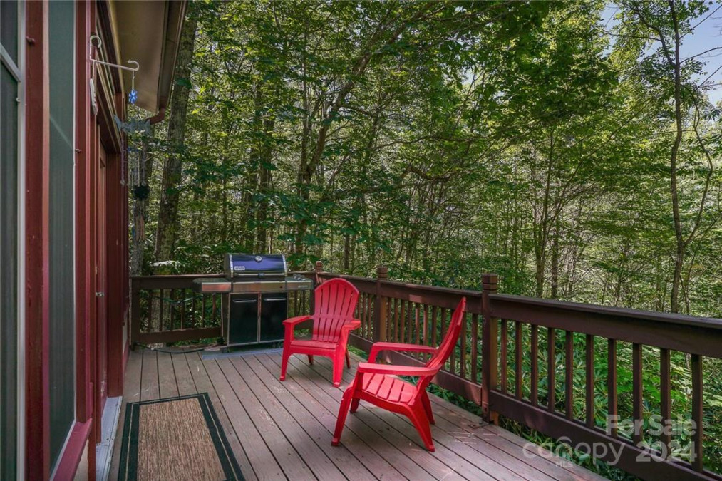 731 Pine Ridge Rd Beech Mountain, NC 28604