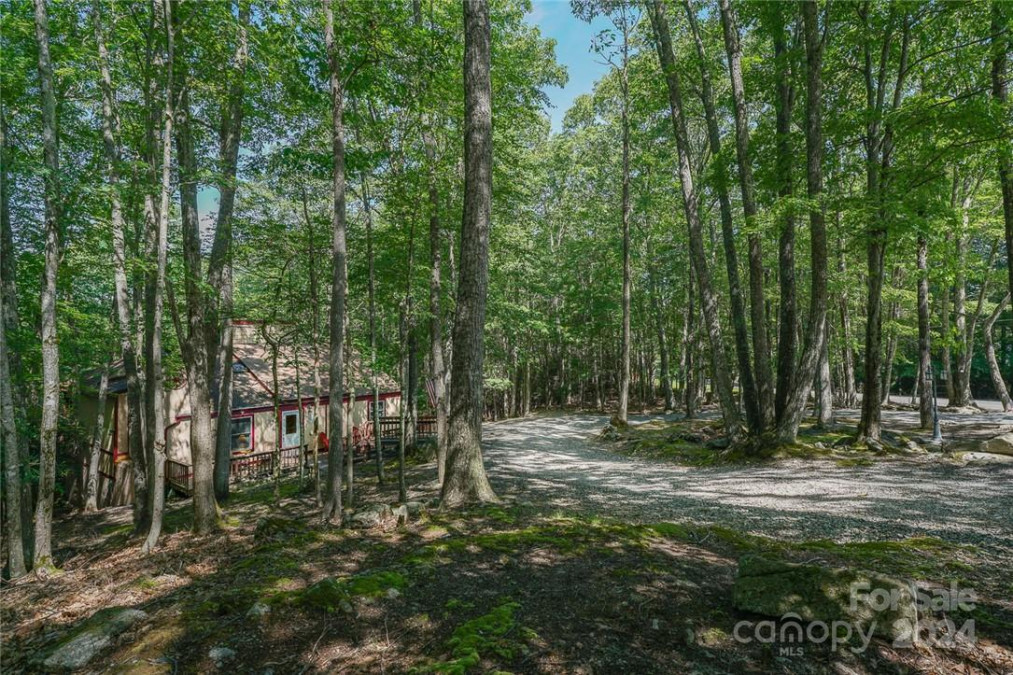 731 Pine Ridge Rd Beech Mountain, NC 28604