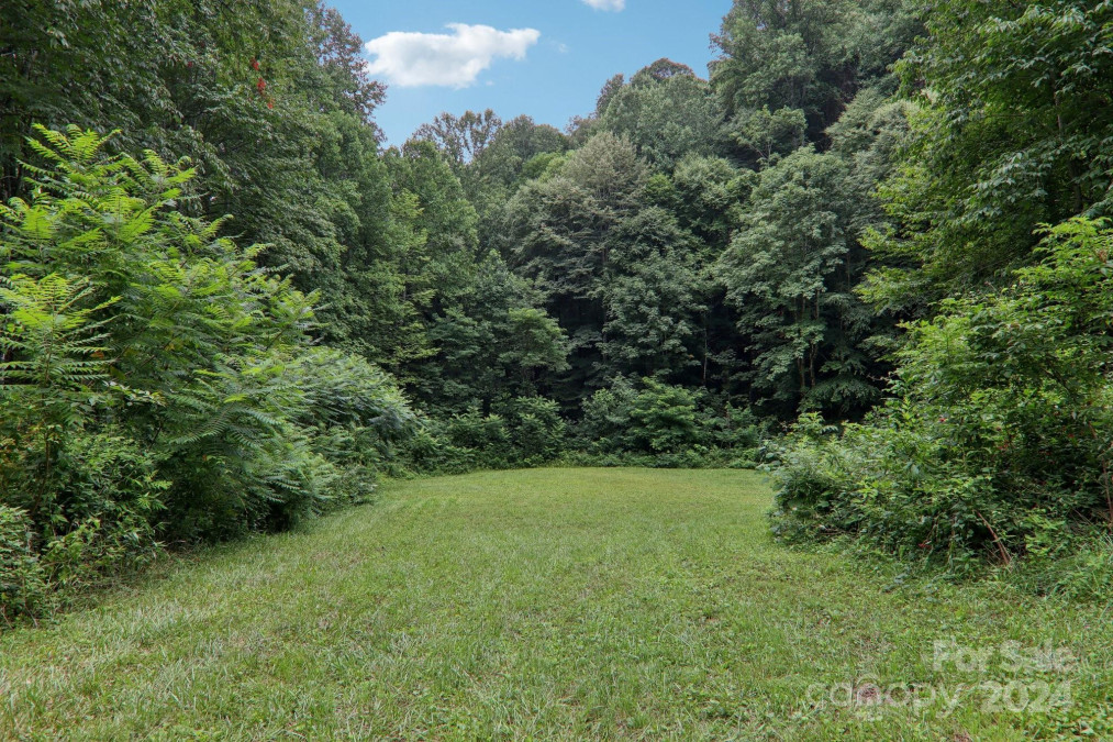 4501 Cove Creek Rd Waynesville, NC 28785