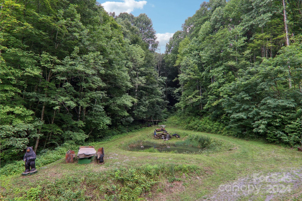 4501 Cove Creek Rd Waynesville, NC 28785