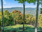 49 Cub Ps Bakersville, NC 28705