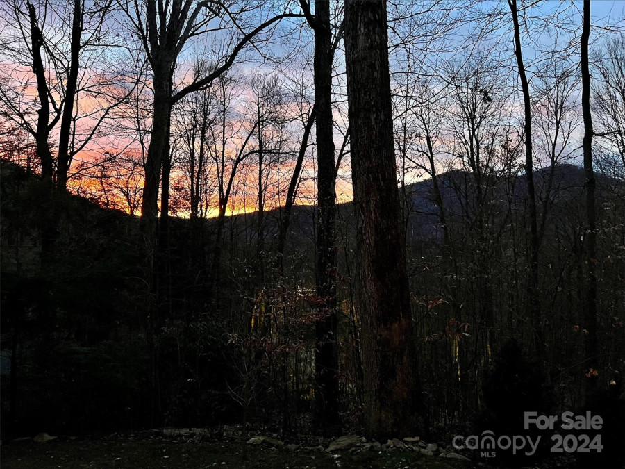 460 Henry Dingus Way Maggie Valley, NC 28751