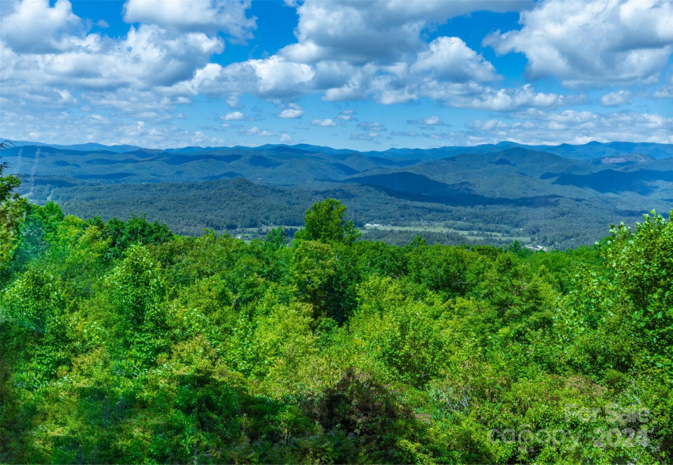 1692 Becky Mountain Rd Brevard, NC 28712