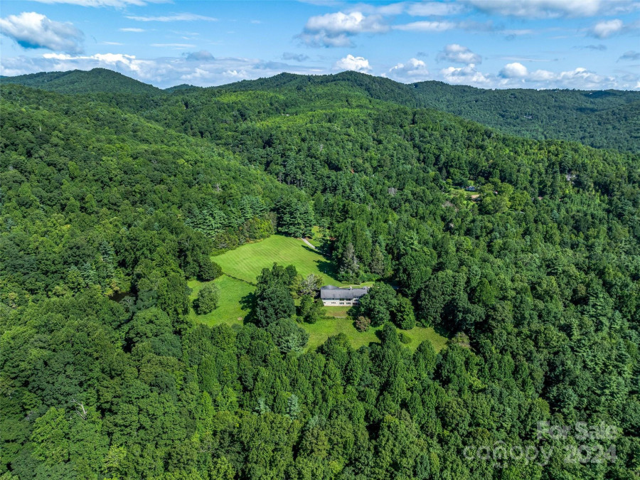 1411 Cabin Creek Rd Zirconia, NC 28790