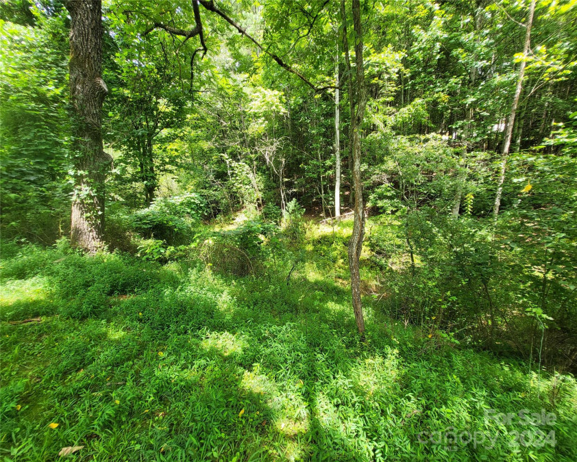 2086 Walnut Hollow Rd Brevard, NC 28712