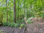 710 Falcon Ridge None Waynesville, NC 28786