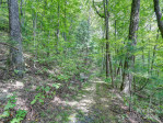 88 Chestnut Forest Rd Fairview, NC 28730