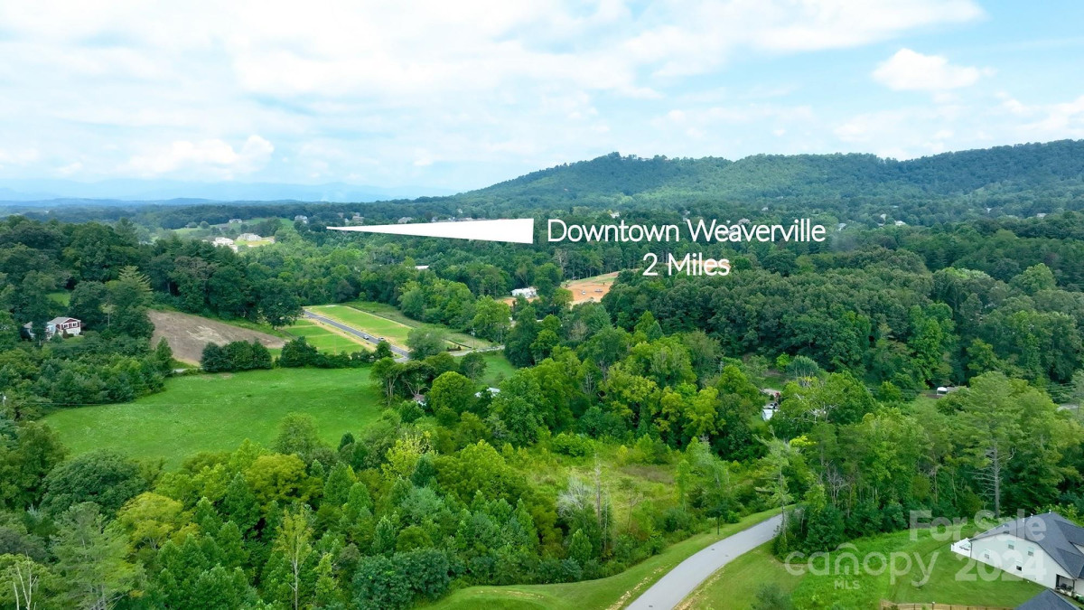 237 Water Leaf Dr Weaverville, NC 28787