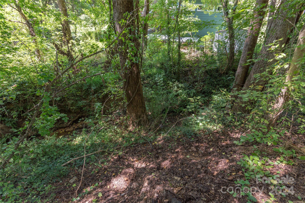 125 Park Ridge Ave Swannanoa, NC 28778