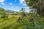 71 Happy Valley Dr Mills River, NC 28759