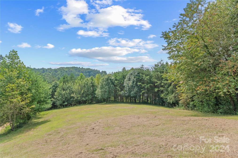 28 Sheppard Branch Rd Weaverville, NC 28787