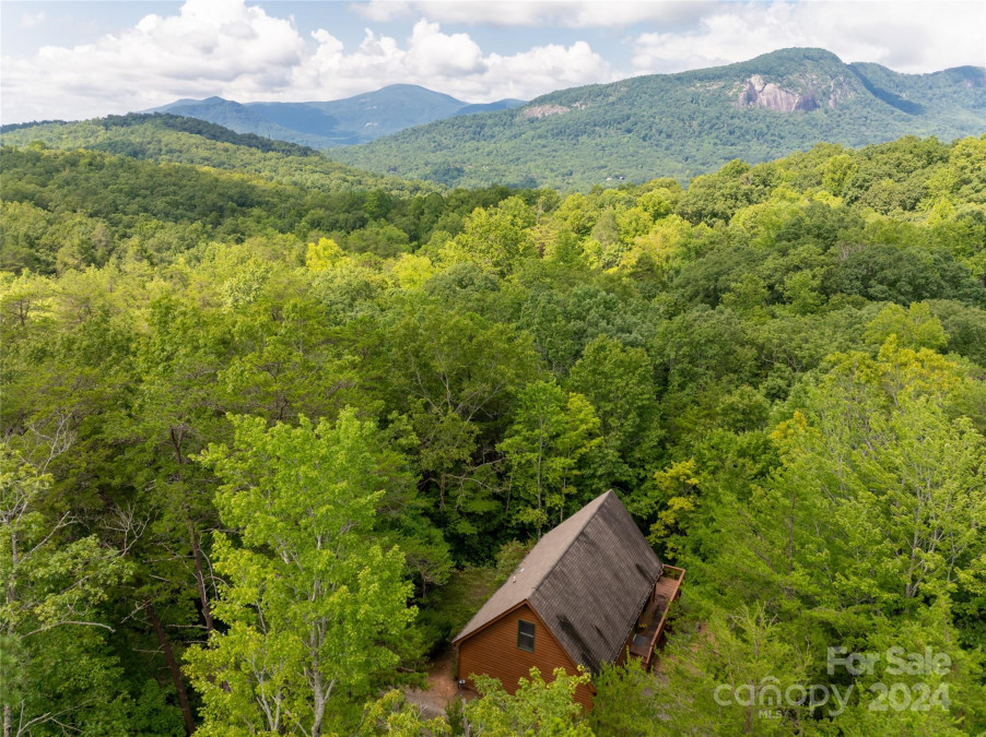 572 South Dr Lake Lure, NC 28746