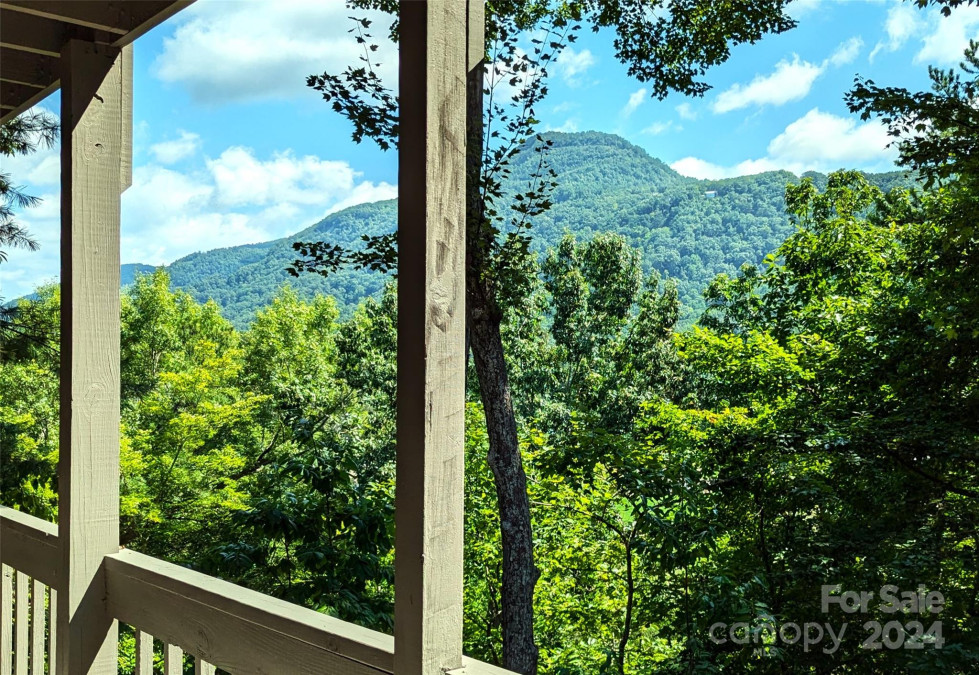 285 Watership Rd Lake Lure, NC 28746