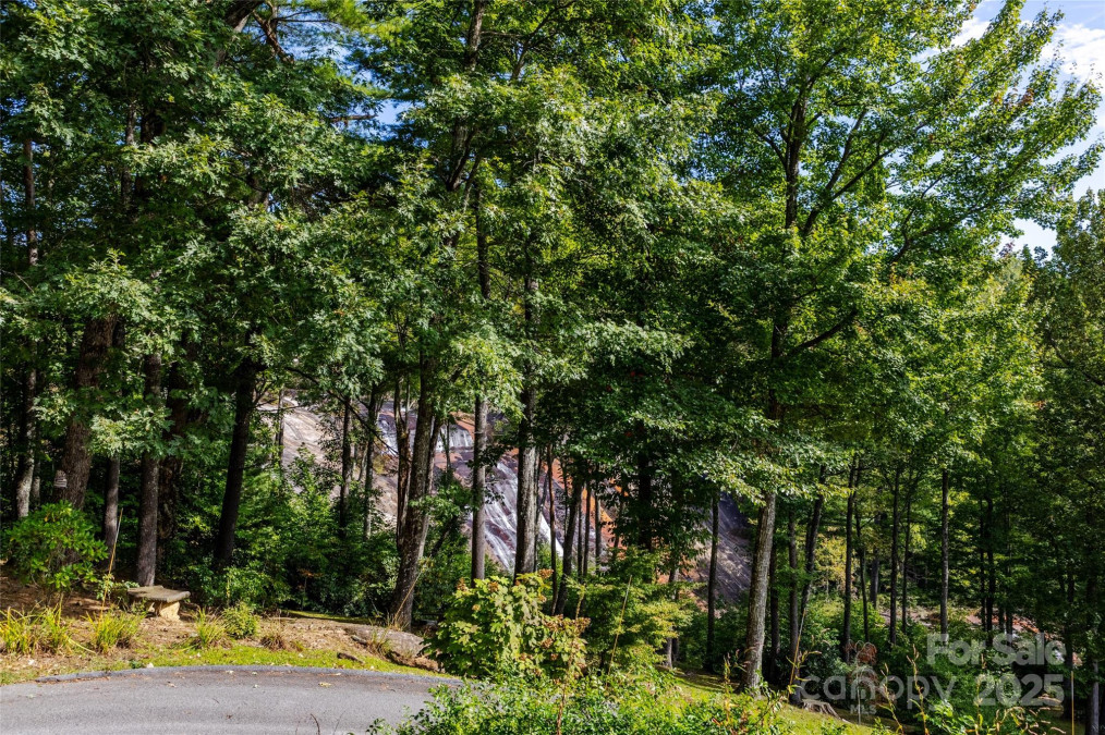 30 Lower Tanglewood Rd Lake Toxaway, NC 28747