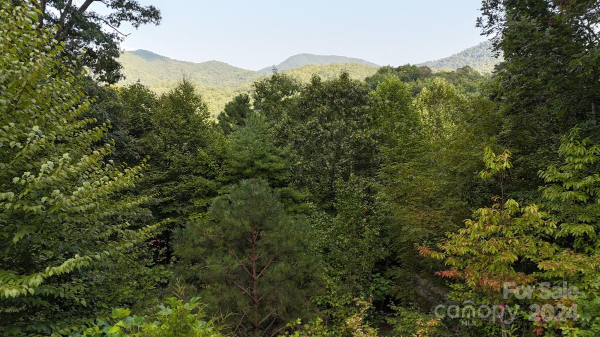 131 Gray Wolf Trl Sylva, NC 28779