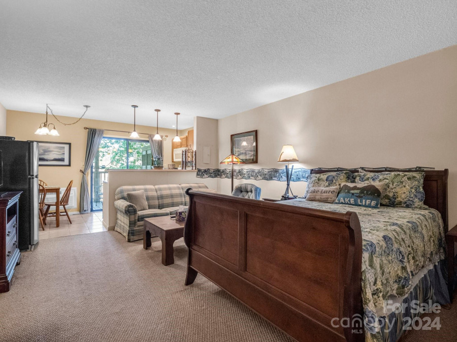 160 Whitney Blvd Lake Lure, NC 28746