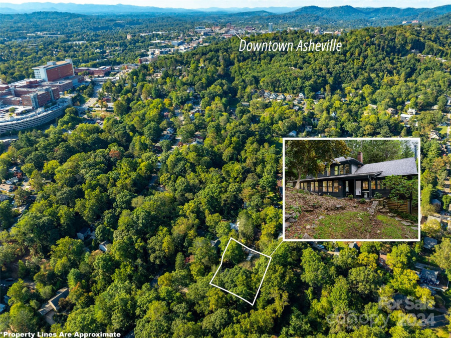 12 Caledonia Rd Asheville, NC 28803